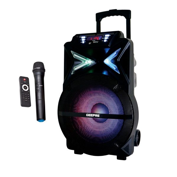 GEEPAS Speaker (amplifier) GMS11131