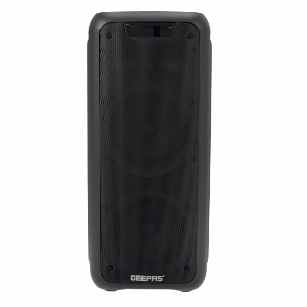 GEEPAS Speaker (amplifier) GMS11168