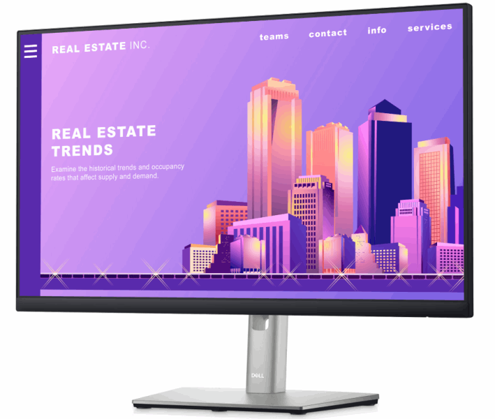 DELL Монитор P2422H