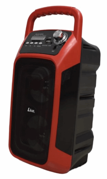 LIGE Speaker (amplifier) AL3602DT