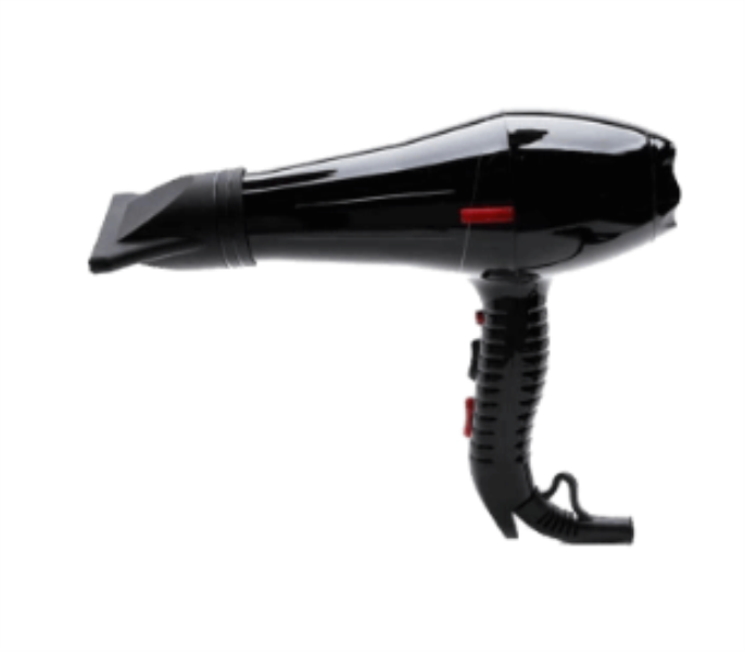 WISMAR Hair dryer W1100