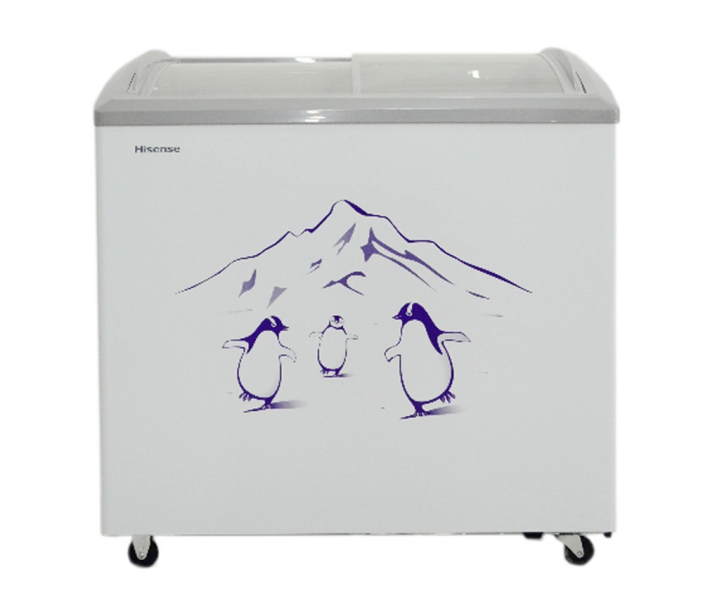HISENSE Freezer FC28DD4SAA
