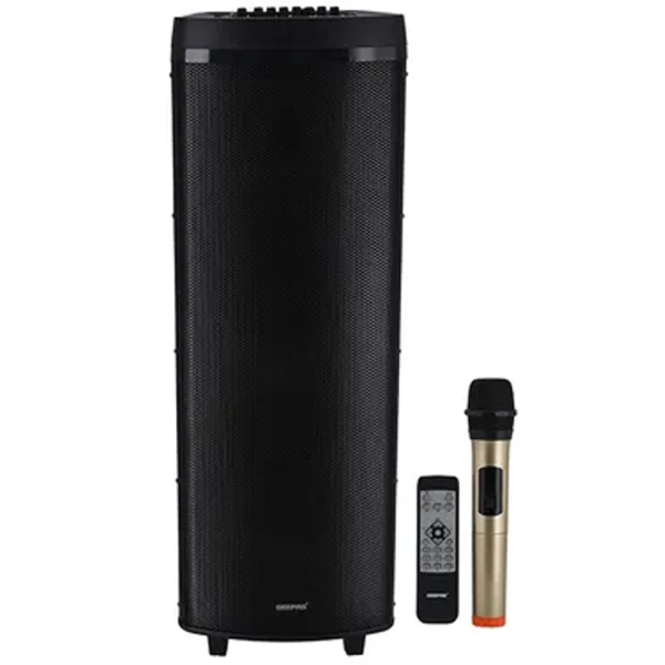 GEEPAS Speaker (amplifier) GMS11153