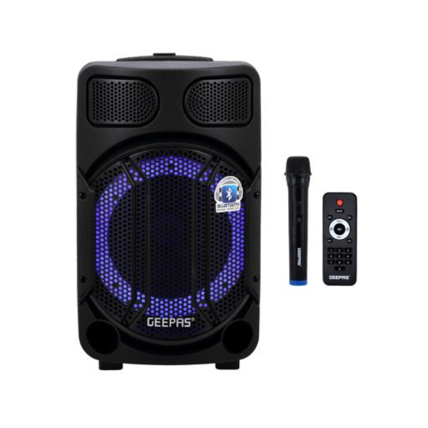 GEEPAS Speaker Portable GMS11167