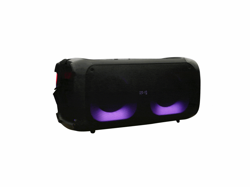 BERG Speaker (amplifier) AS-11M